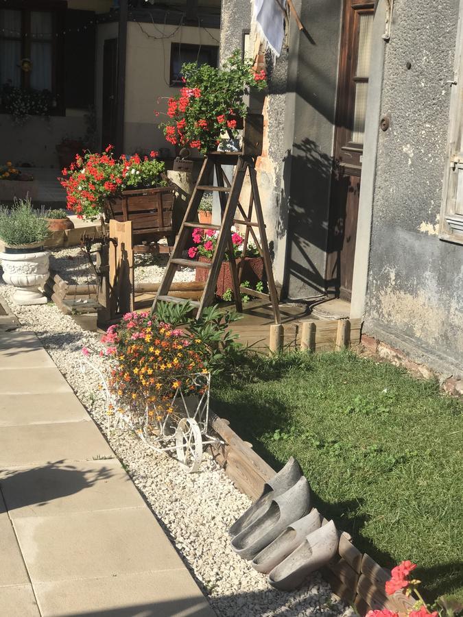 Maison Avec Terrasse Colmar Centre-Cottage Garden Terrace Center Old Town Colmar Exterior photo